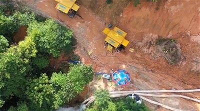 1733897469186(001)