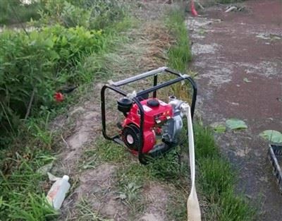 Portable Diesel Pump2
